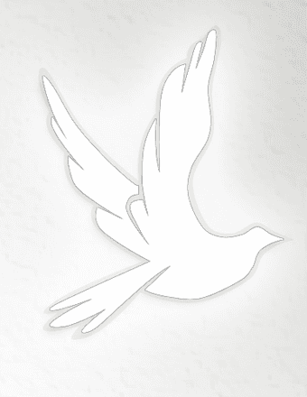 Nancy C. Smith Obituary
