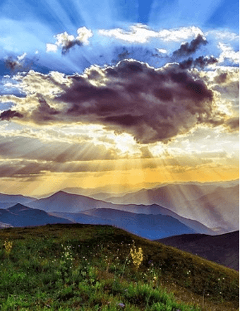 Tony D. Leviner Obituary